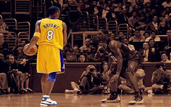 芒的新星 芒的新星