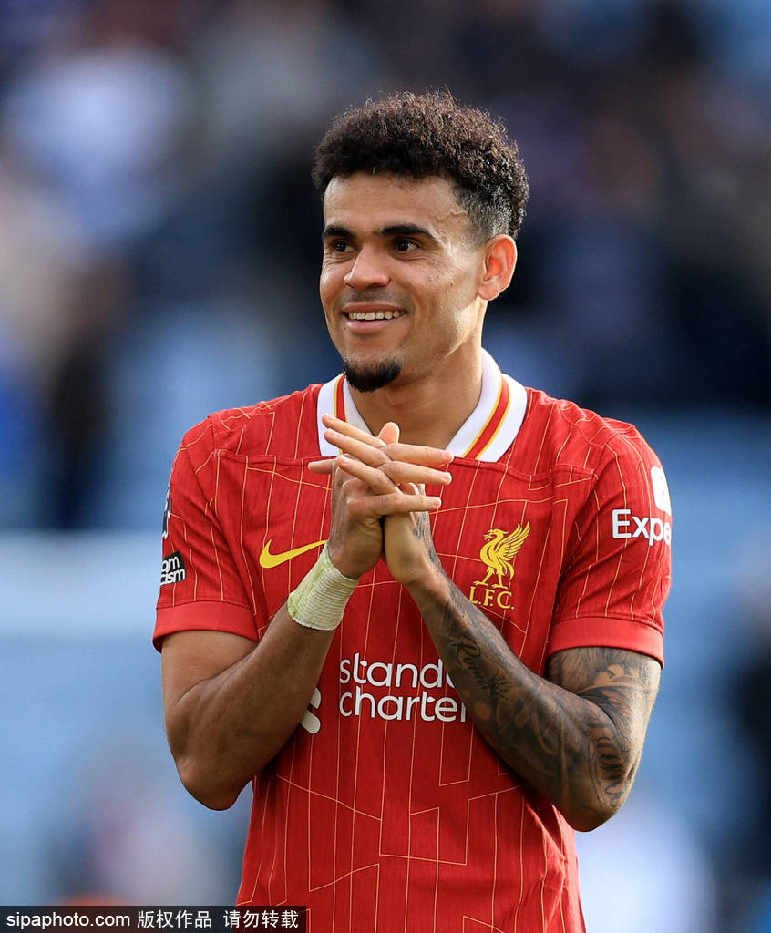 的强大阵容 的强大阵容