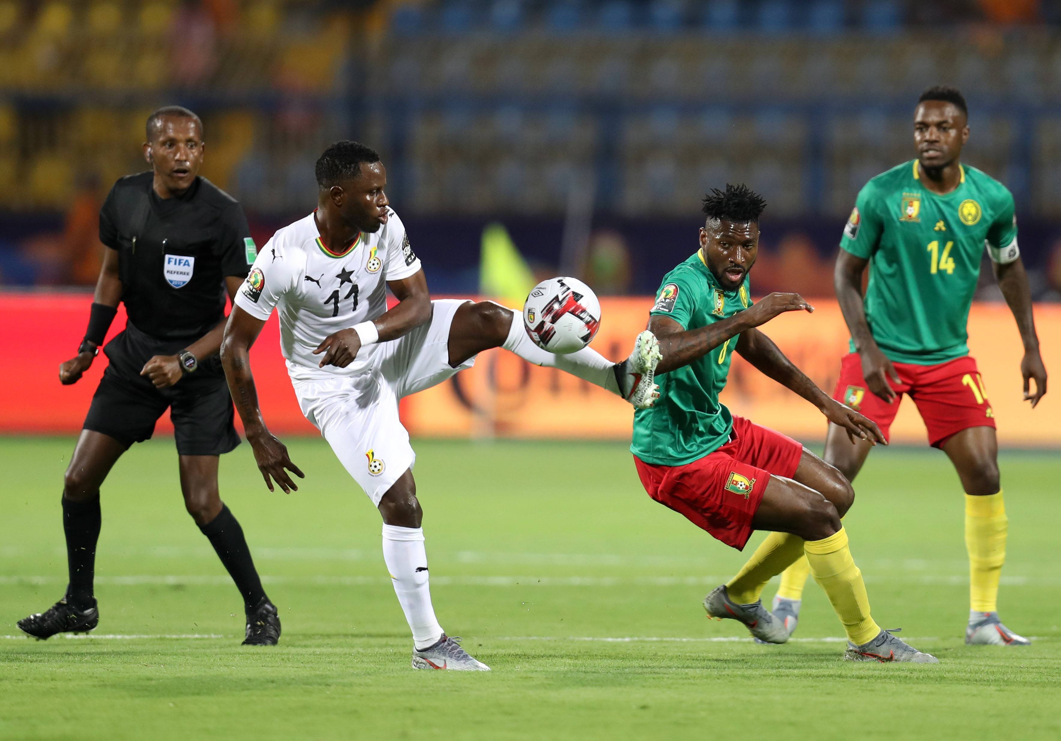 被自然覆盖 被自然覆盖